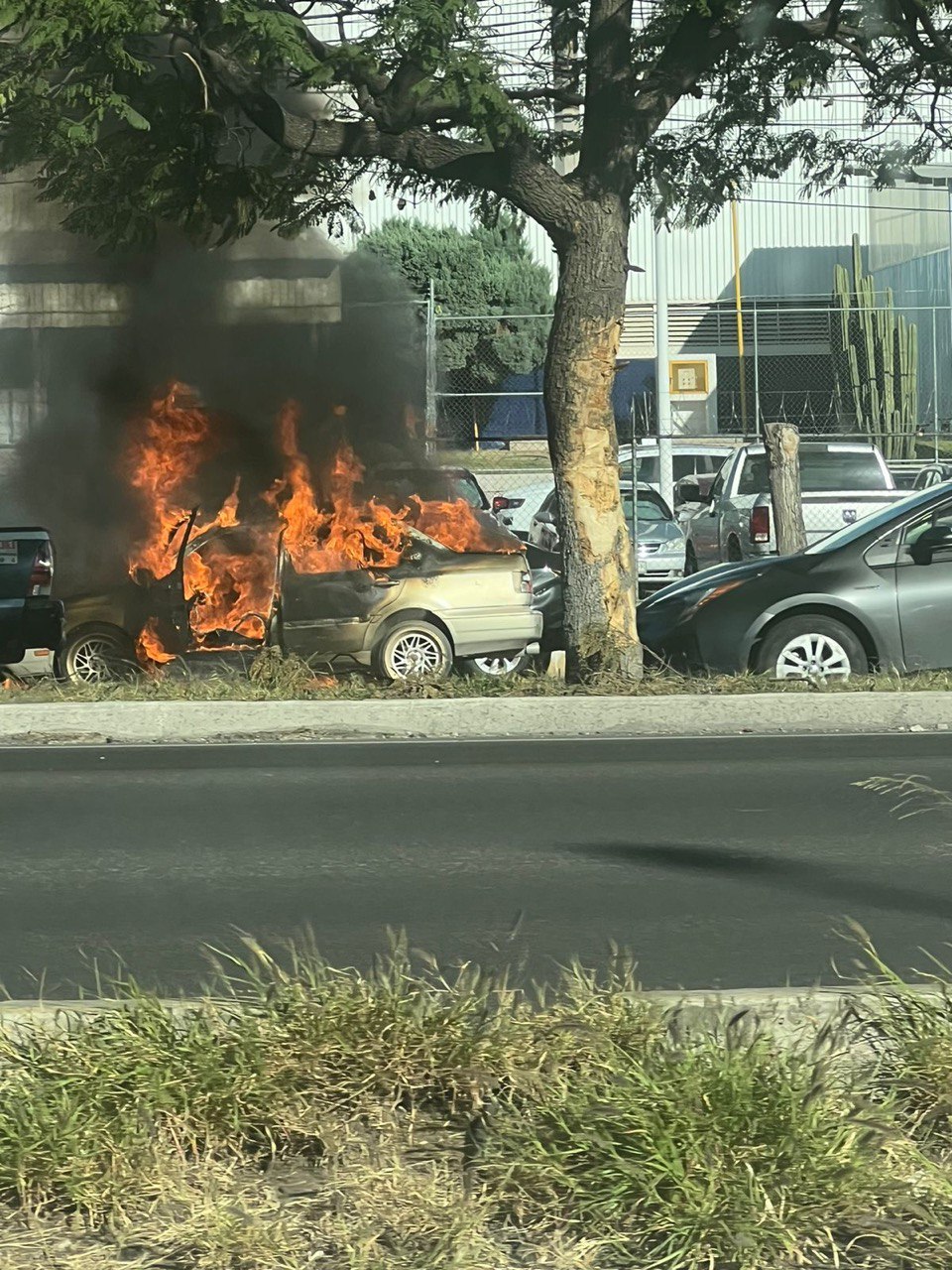 Lee más sobre el artículo ARDE AUTO