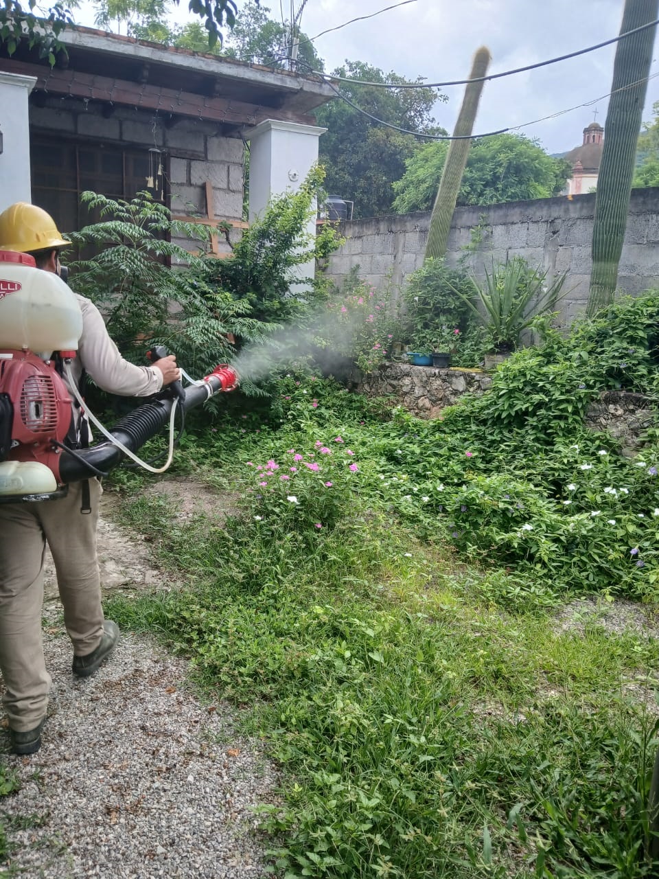 Lee más sobre el artículo La participación de la población es importante para combatir el dengue