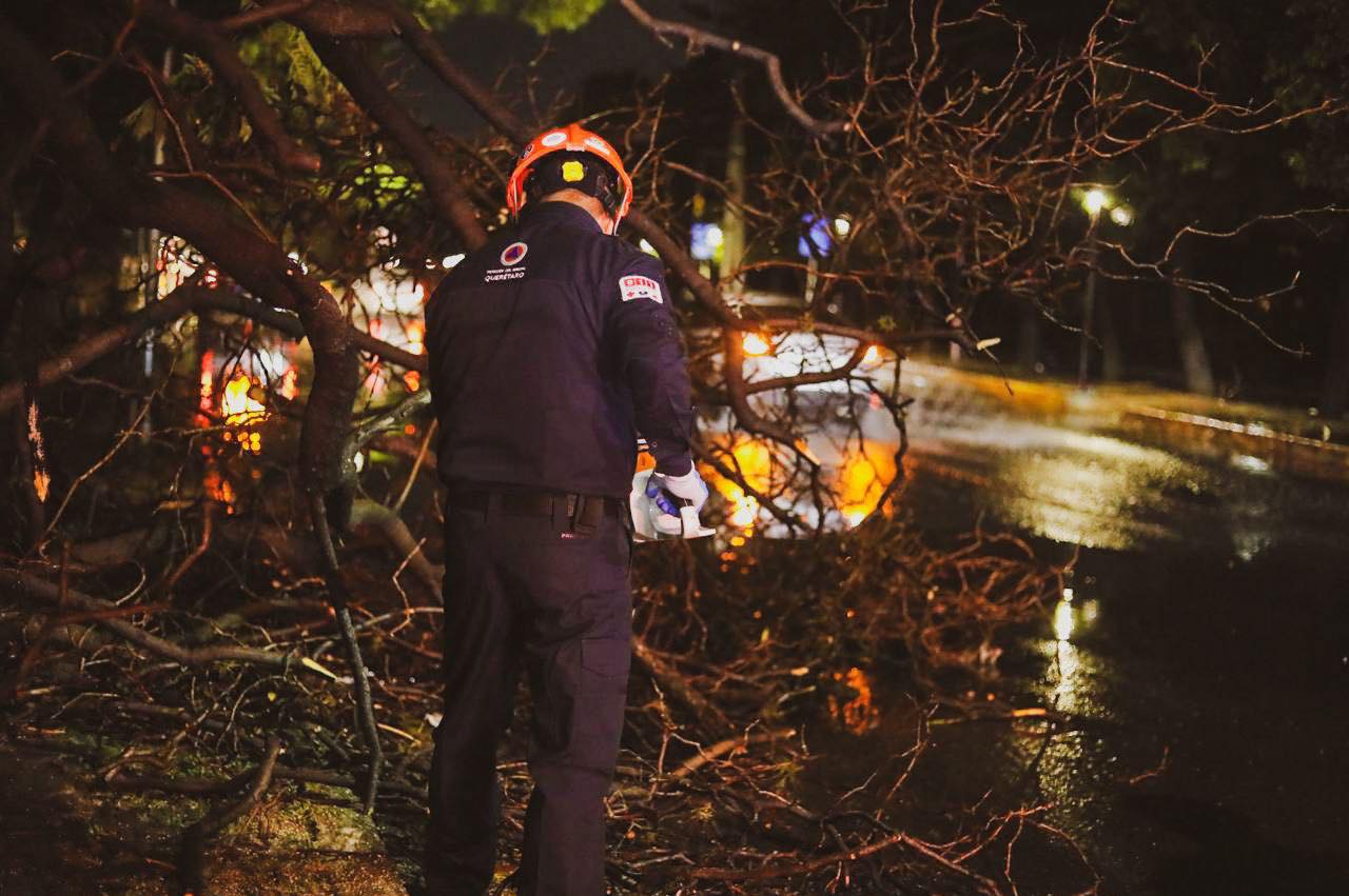 Lee más sobre el artículo En Blvd. Bernardo Quintana, los fuertes vientos ocasionaron que árbol cayera sobre carriles laterales a la altura del Parque 2000.