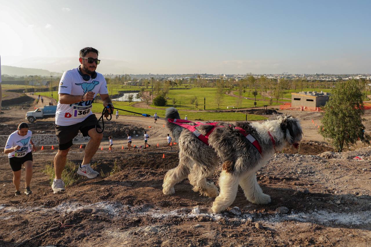 Lee más sobre el artículo Gran éxito de la Carrera Canina P-Run 2024 en La Queretana