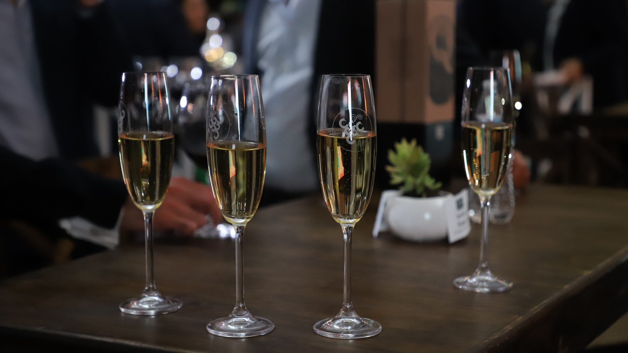 Lee más sobre el artículo Inicia la Cuarta Edición del Festival del Vino Queretano