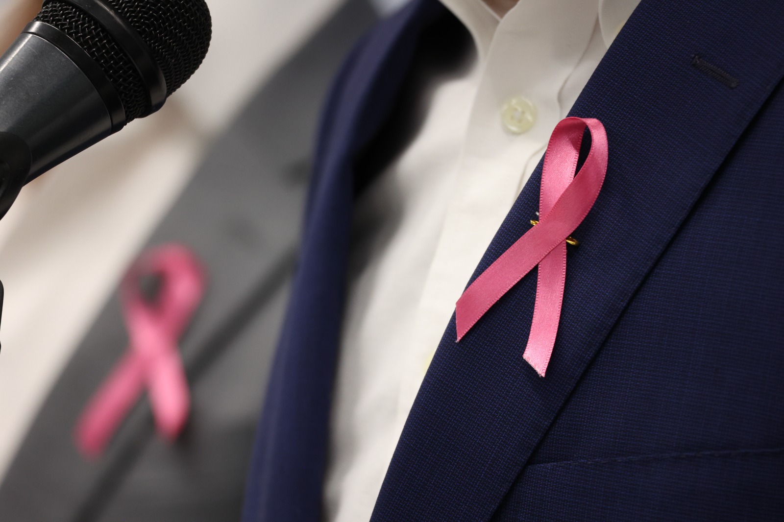 Lee más sobre el artículo Los diputados locales, anunciaron campaña de examen de cáncer de mama, abierta para todas las mujeres