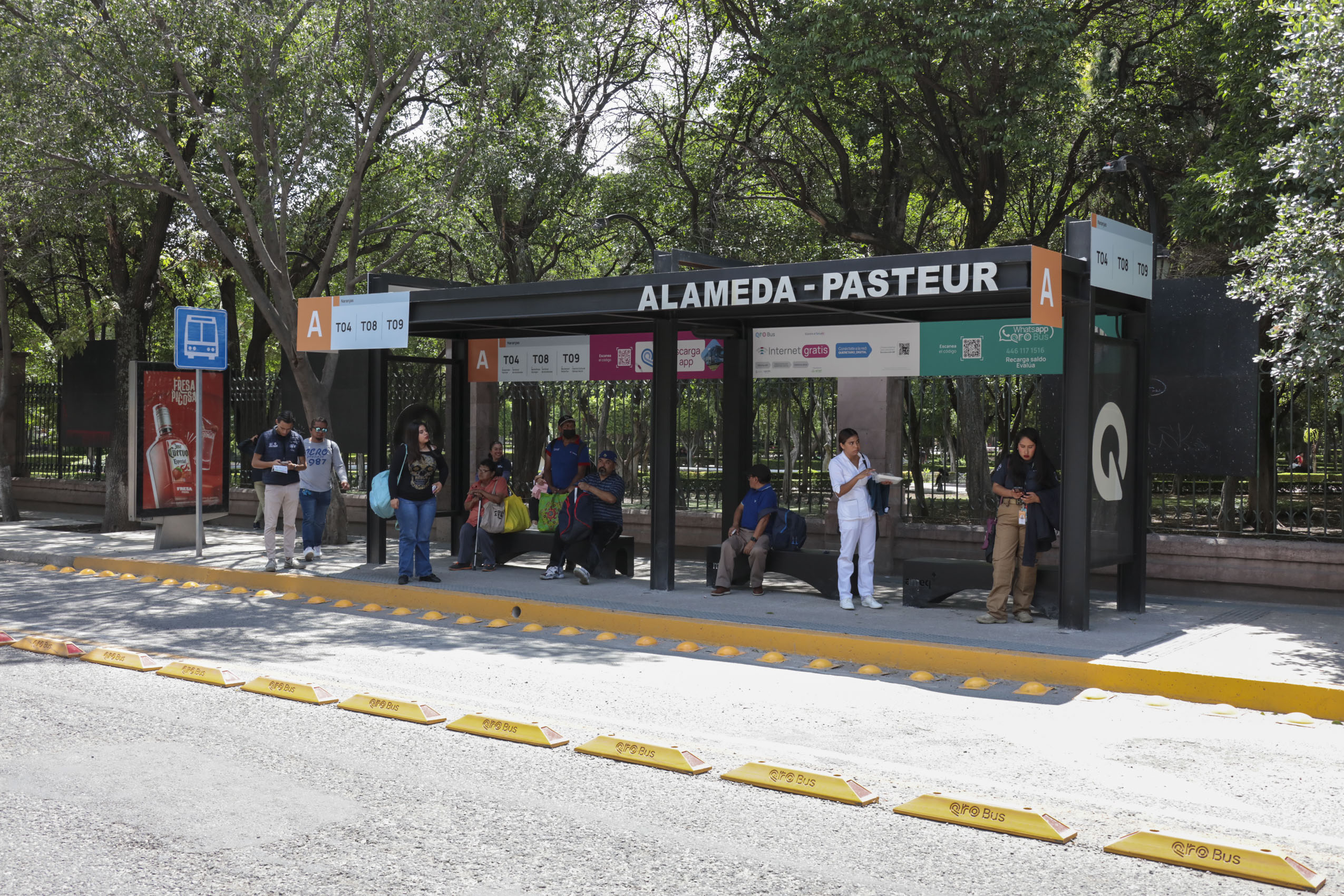 Lee más sobre el artículo Nuevo ordenamiento vial en paradores de Av. Luis Pasteur
