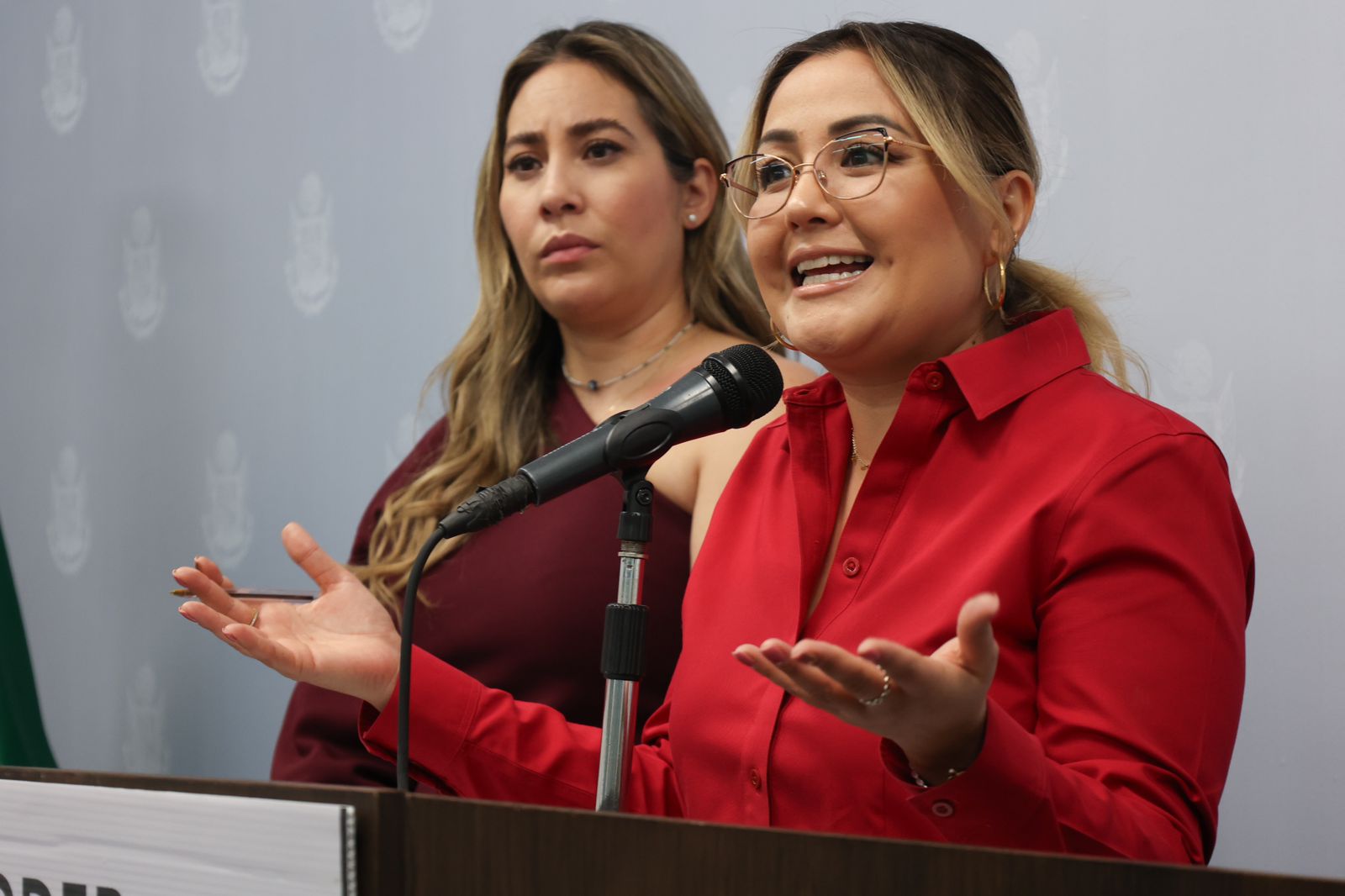Lee más sobre el artículo Claudia Díaz Gayou, presenta Iniciativa que crea la Ley del Sistema Estatal de Cuidados