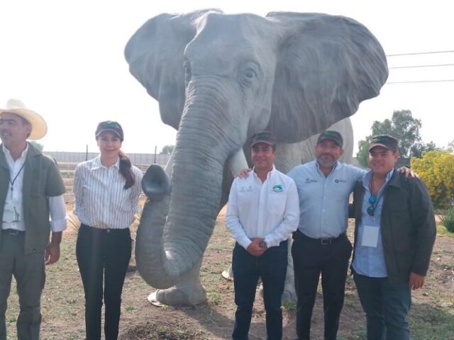 Presentan plan para relanzar la Gran Reserva Ecológica Wamerú