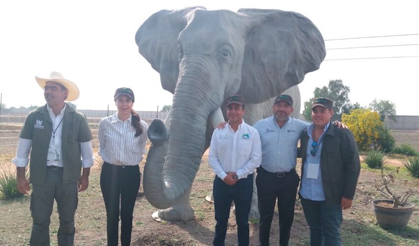 Lee más sobre el artículo Presentan plan para relanzar la Gran Reserva Ecológica Wamerú