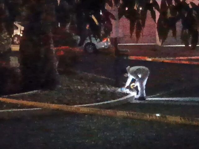 Tres muertos a balazos en establecimiento de avenida 5 de febrero