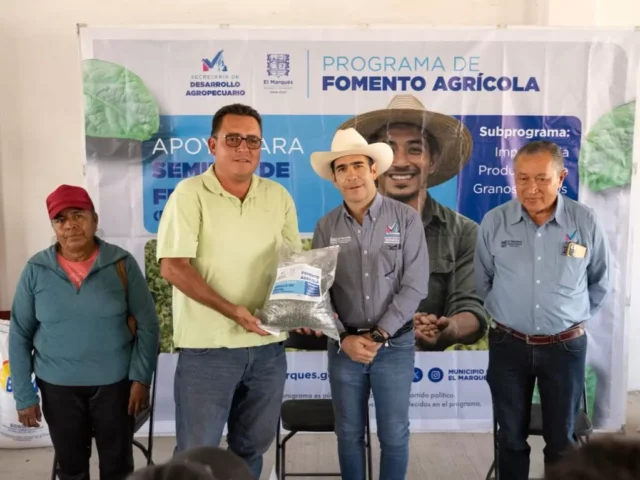 Impulsa El Marqués la producción agrícola con entrega de semilla de frijol