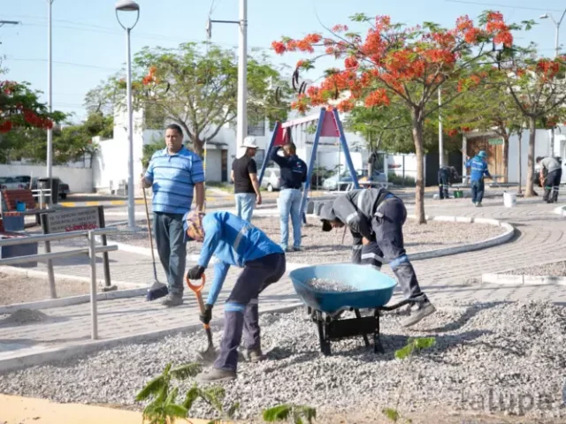 Codo a codo, pala con pala, autoridades y vecinos embellecen Corregidora
