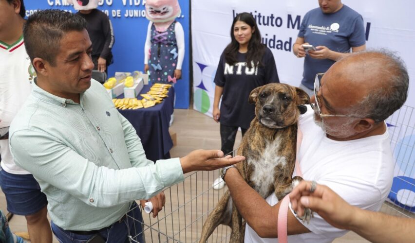 Lee más sobre el artículo Inicia Corregidora jornada de adopción animal “Cambiando Vidas”