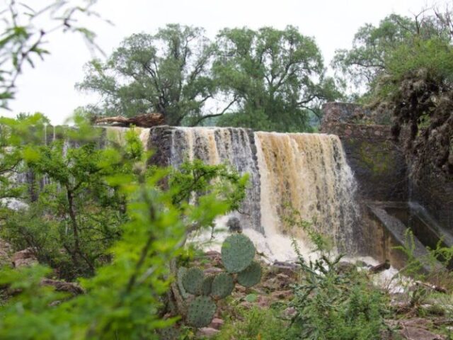 Activa gobierno de San Juan del Río protocolos de Protección Civil ante ciclón Flossie