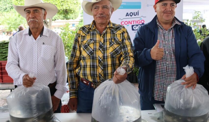 Lee más sobre el artículo Entrega Sedea 50 mil alevines en San Juan del Río