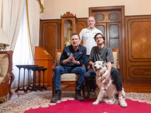 Enviará Kuri una Iniciativa de Ley de Bienestar Animal al Congreso del estado