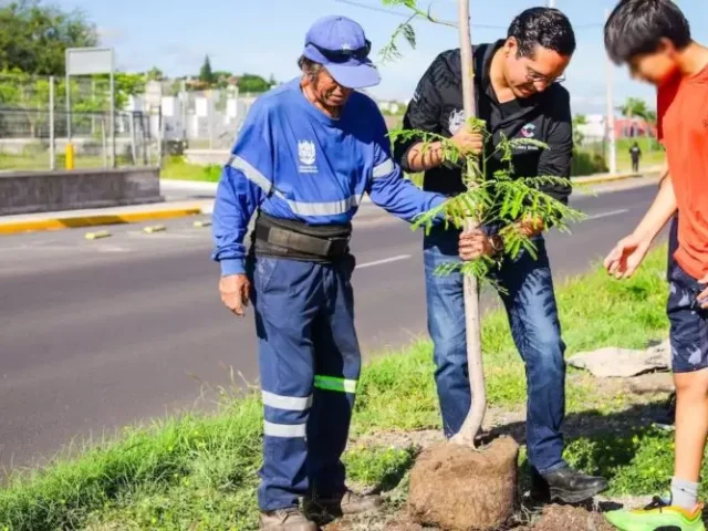 Reforestan Avenida del Jacal, en Corregidora, para aumentar áreas verdes