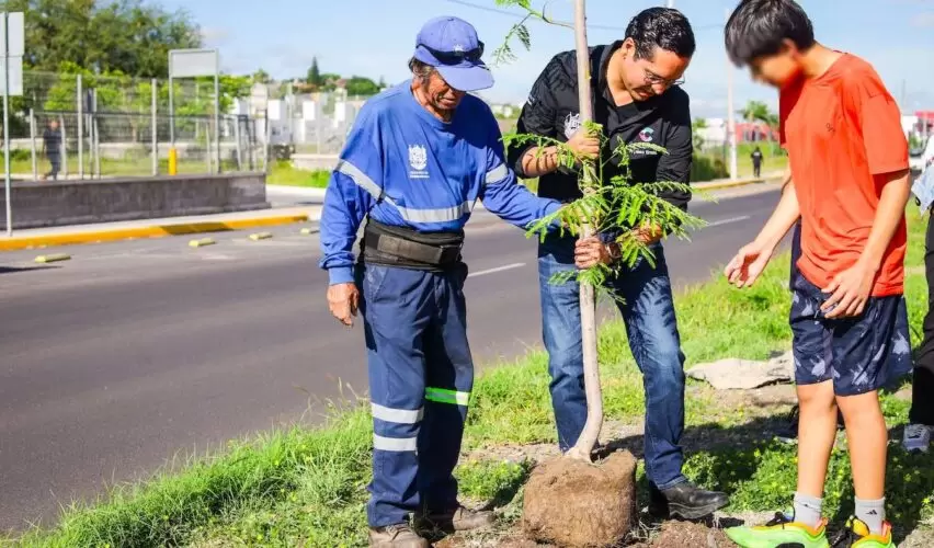Lee más sobre el artículo Reforestan Avenida del Jacal, en Corregidora, para aumentar áreas verdes