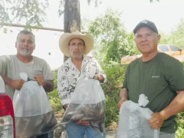 Entrega Sedea alevines para repoblar cuerpos de agua en la sierra
