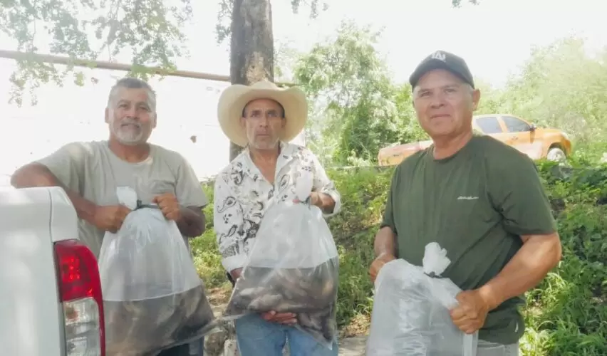 Lee más sobre el artículo Entrega Sedea alevines para repoblar cuerpos de agua en la sierra