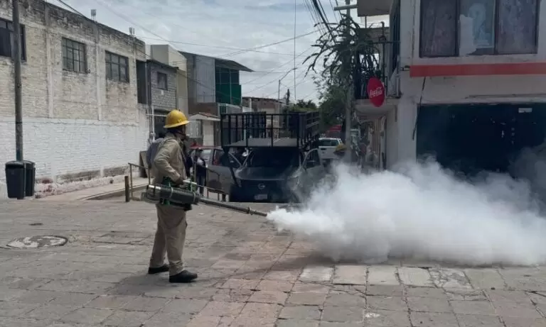Lee más sobre el artículo Intensifica Sesa actividades de prevención y control del dengue a Carrillo Puerto
