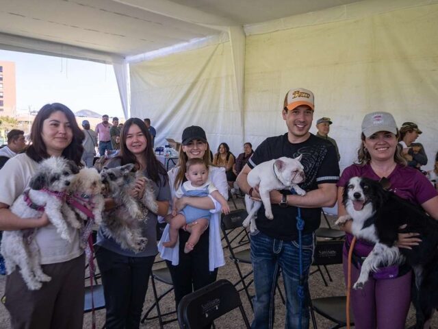 Rodrigo Monsalvo convierte a El Marqués en referente nacional en protección y bienestar animal