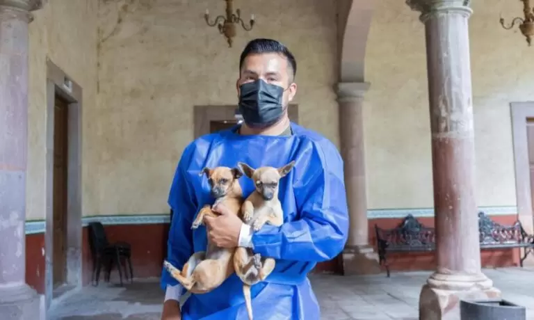 Lee más sobre el artículo Recorre campaña “Esteriliza y Protege” para mascotas colonias y comunidades de Corregidora