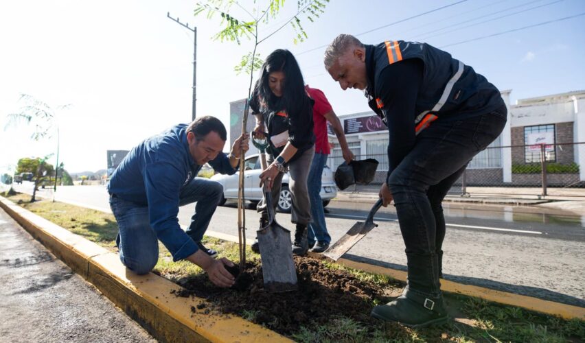 Lee más sobre el artículo En cuatro años, se han realizado reforestaciones con más de 48 mil árboles plantados: Roberto Cabrera