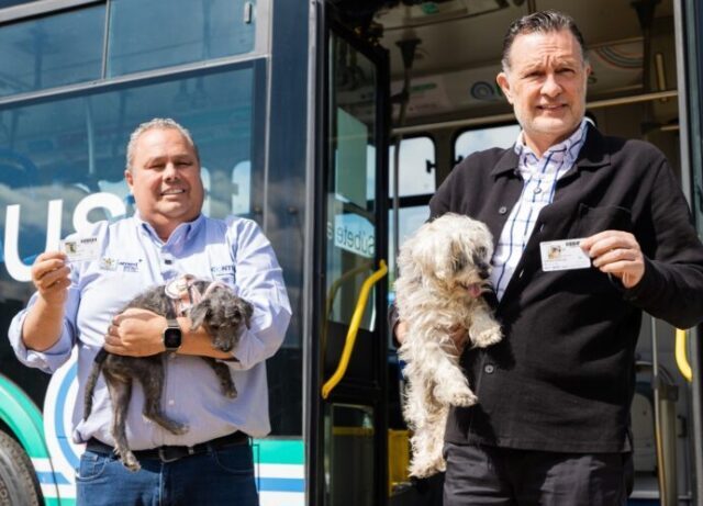 Anuncia gobernador Sistema Qrobús Pet Friendly