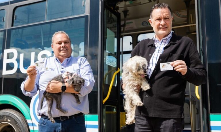 Lee más sobre el artículo Anuncia gobernador Sistema Qrobús Pet Friendly