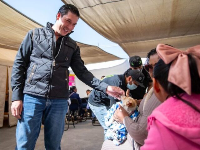 Harán en El Marqués 4 mil esterilizaciones de mascotas y aplicarán 20 mil vacunas