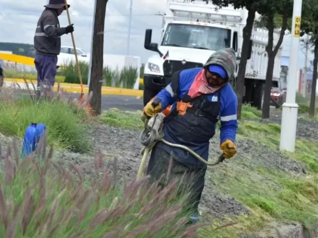 Realiza Corregidora limpieza en laterales de carreteras por peregrinaciones a Coroneo