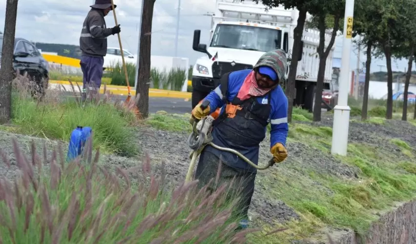 Lee más sobre el artículo Realiza Corregidora limpieza en laterales de carreteras por peregrinaciones a Coroneo