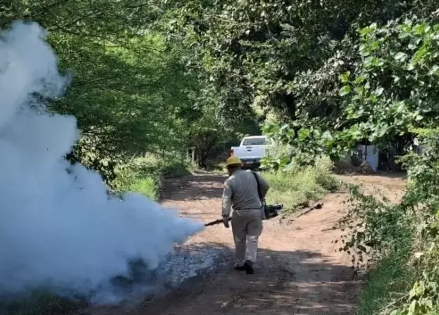 Registra Querétaro 90 casos de dengue y un deceso por esa enfermedad