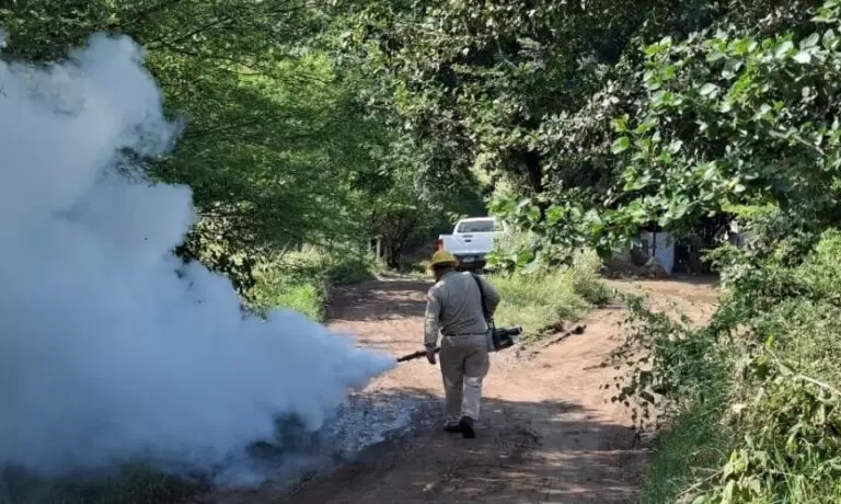 Lee más sobre el artículo Registra Querétaro 90 casos de dengue y un deceso por esa enfermedad