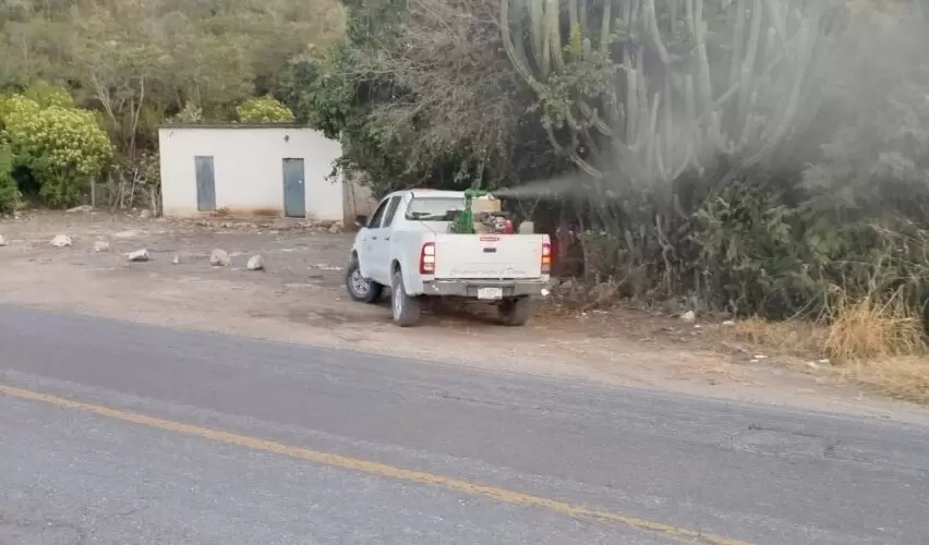 Lee más sobre el artículo Mantiene SESA acciones de vigilancia epidemiológica contra el dengue