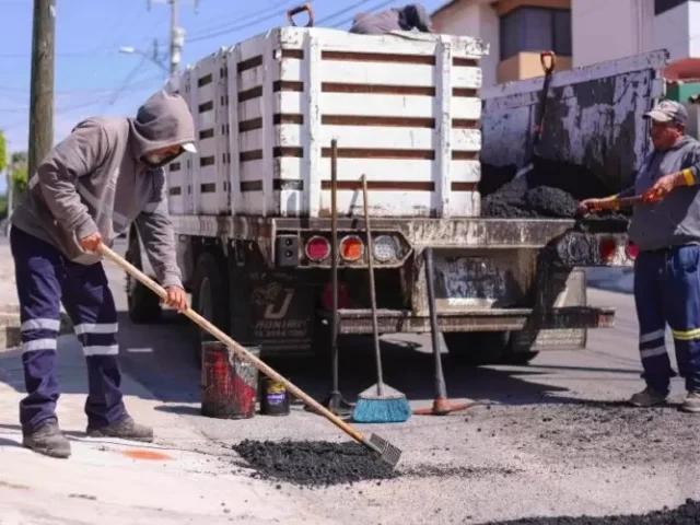 Brigada Antibaches de Corregidora atiende más de mil 500 reportes