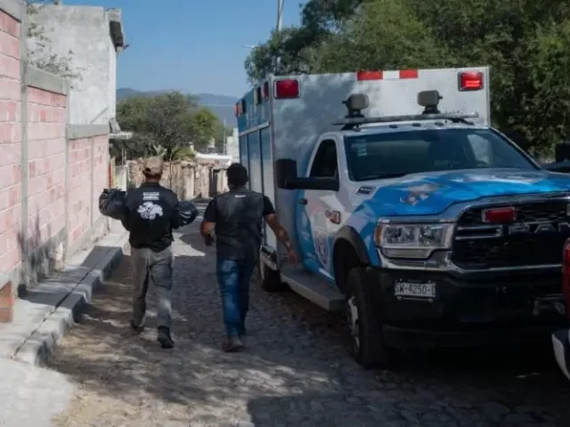 IMPA de El Marqués colabora en 4 investigaciones de crueldad hacia perros