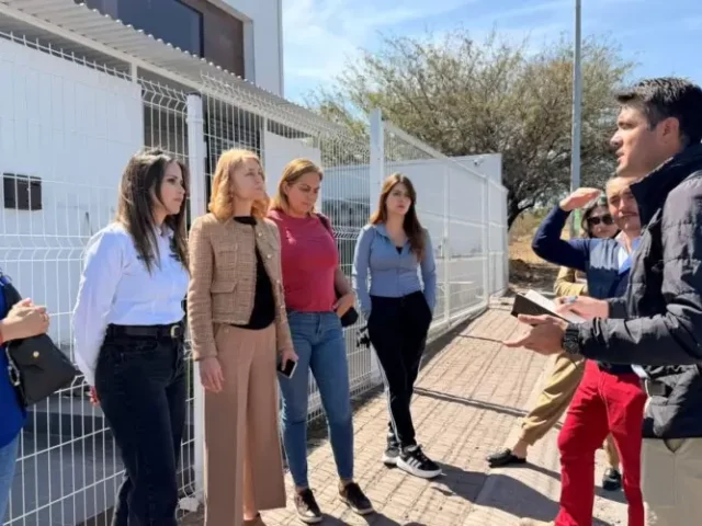 Realiza municipio de Querétaro acciones permanentes de bienestar animal