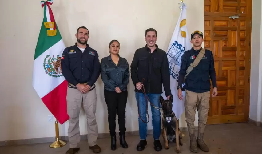 Lee más sobre el artículo Se reunió Monsalvo con Agencia Nacional de Aduanas en favor del bienestar animal