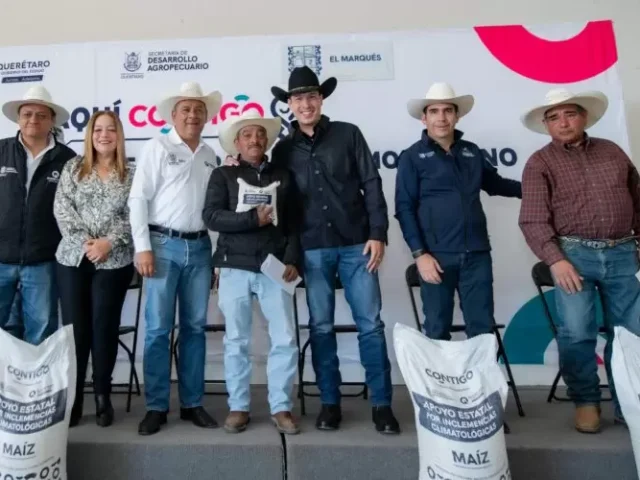 Entregan 479 toneladas de maíz a mil 310 productores de El Marqués