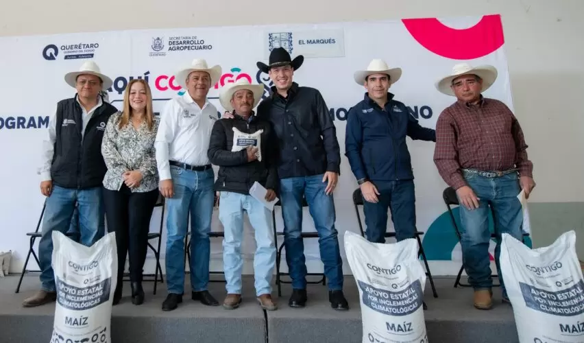 Lee más sobre el artículo Entregan 479 toneladas de maíz a mil 310 productores de El Marqués