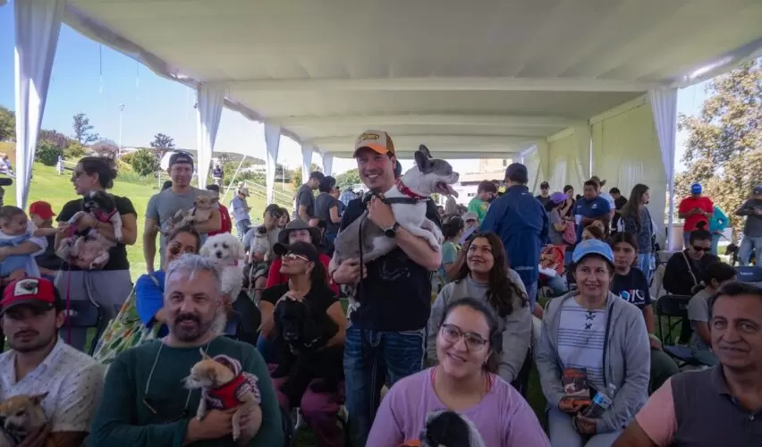 Lee más sobre el artículo Municipio de El Marqués realizará 10 mil esterilizaciones gratuitas para perros y gatos