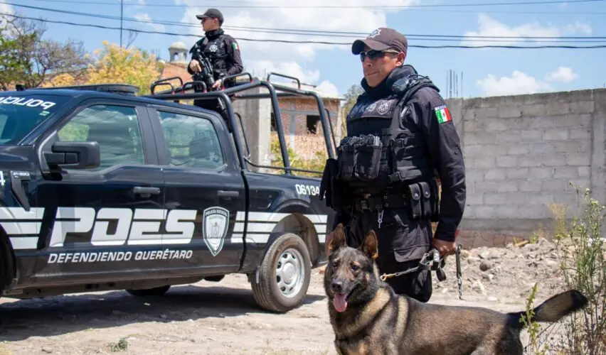 Lee más sobre el artículo Policía Estatal de Querétaro en el Top 10 nacional en confianza y desempeño