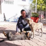 Chepe Guerrero anunció construcción de clínica veterinaria en Corregidora