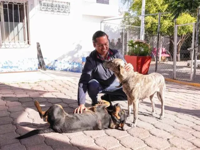 Chepe Guerrero anunció construcción de clínica veterinaria en Corregidora