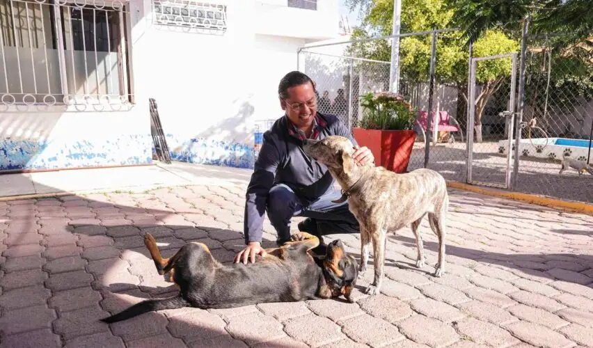 Lee más sobre el artículo Chepe Guerrero anunció construcción de clínica veterinaria en Corregidora