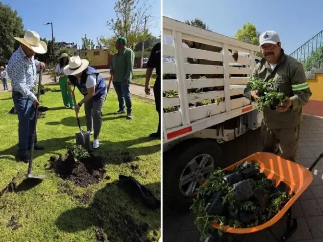 Rehabilita El Marqués áreas verdes en El Colorado