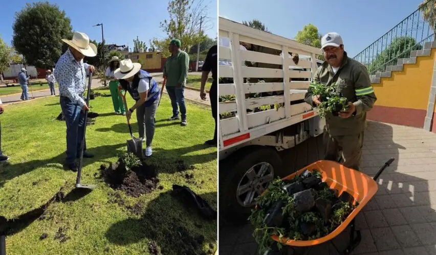Lee más sobre el artículo Rehabilita El Marqués áreas verdes en El Colorado