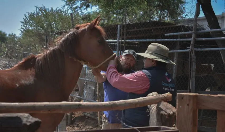 Lee más sobre el artículo Lleva Corregidora Jornada de Salud Animal a la comunidad de La Cueva