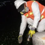 Refuerza municipio de Querétaro acciones contra mosquitos en Querétaro 2000 y zonas aledañas