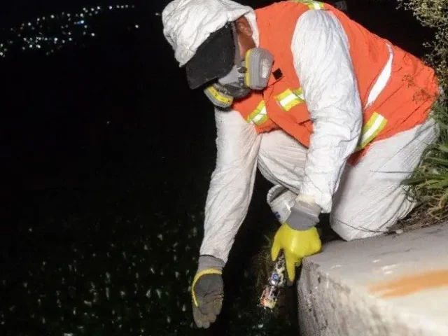 Refuerza municipio de Querétaro acciones contra mosquitos en Querétaro 2000 y zonas aledañas
