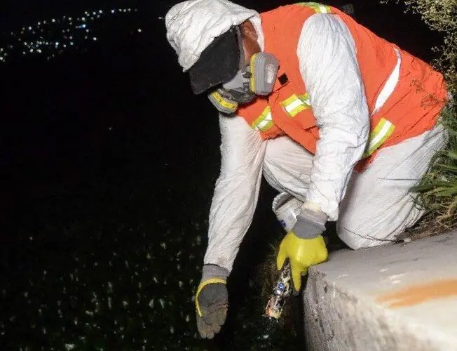 Lee más sobre el artículo Refuerza municipio de Querétaro acciones contra mosquitos en Querétaro 2000 y zonas aledañas